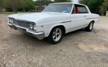 Unknown-Skylark-1965-White-7