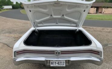 Unknown-Skylark-1965-White-9