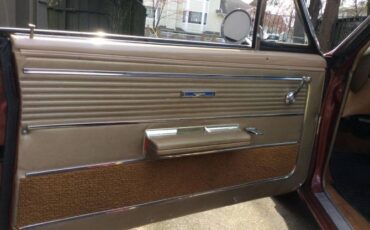 Unknown-Skylark-1966-Copper-Beige-10