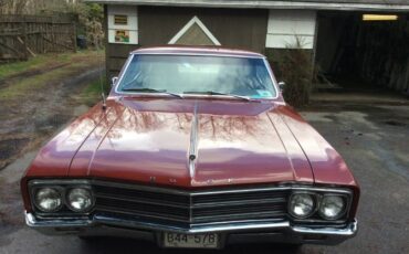 Unknown-Skylark-1966-Copper-Beige-12