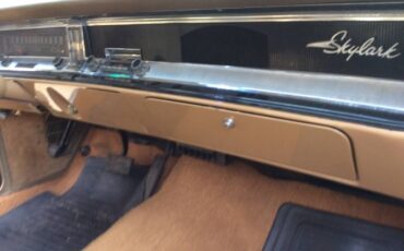 Unknown-Skylark-1966-Copper-Beige-5