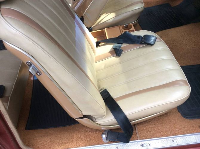 Unknown-Skylark-1966-Copper-Beige-6