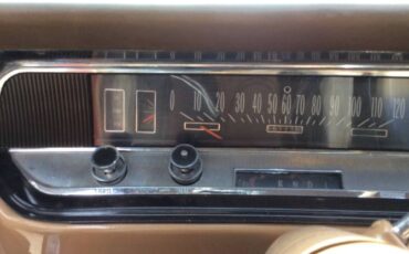 Unknown-Skylark-1966-Copper-Beige-8