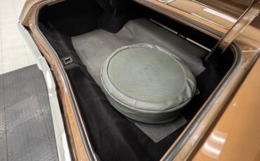Unknown-Skylark-1968-Burnished-Saddle-Ivory-10