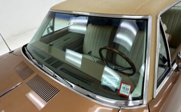 Unknown-Skylark-1968-Burnished-Saddle-Ivory-26