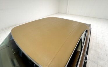 Unknown-Skylark-1968-Burnished-Saddle-Ivory-27