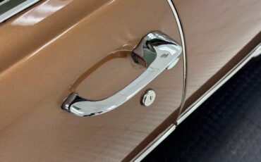 Unknown-Skylark-1968-Burnished-Saddle-Ivory-29