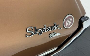 Unknown-Skylark-1968-Burnished-Saddle-Ivory-4