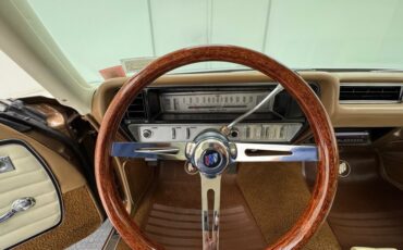 Unknown-Skylark-1968-Burnished-Saddle-Ivory-42