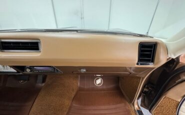 Unknown-Skylark-1968-Burnished-Saddle-Ivory-49