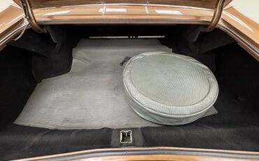 Unknown-Skylark-1968-Burnished-Saddle-Ivory-9