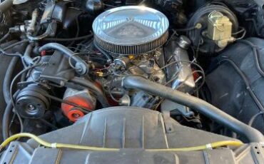Unknown-Skylark-1972-Blue-1