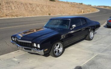 Unknown-Skylark-1972-Blue-11