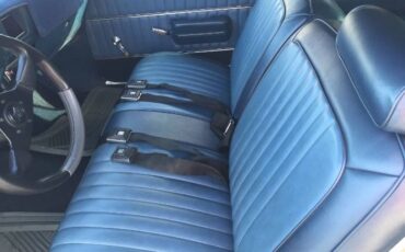 Unknown-Skylark-1972-Blue-7