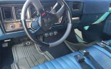 Unknown-Skylark-1972-Blue-8