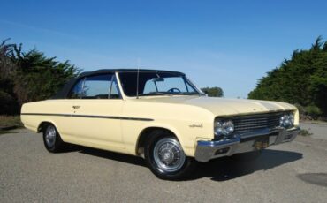 Unknown-Special-1965-Bamboo-Cream-Yellow-Black-19