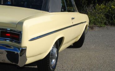 Unknown-Special-1965-Bamboo-Cream-Yellow-Black-20