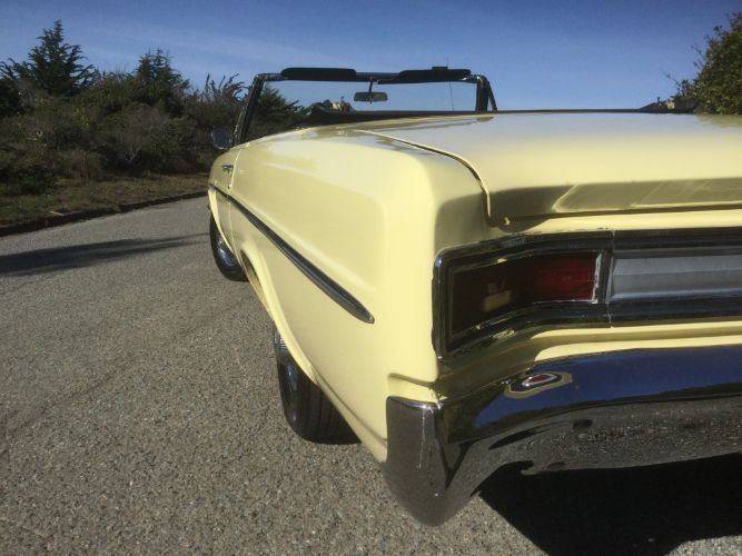 Unknown-Special-1965-Bamboo-Cream-Yellow-Black-21