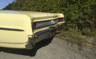 Unknown-Special-1965-Bamboo-Cream-Yellow-Black-22