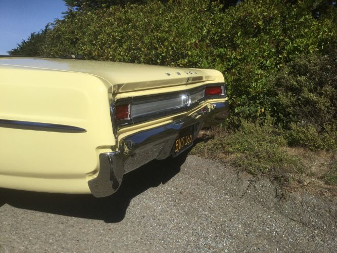 Unknown-Special-1965-Bamboo-Cream-Yellow-Black-22