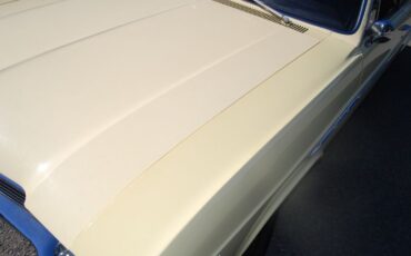 Unknown-Special-1965-Bamboo-Cream-Yellow-Black-26