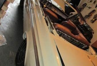 Unknown-Sport-fury-1964-Ivory-Bronze-1