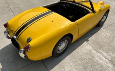 Unknown-Sprite-1959-Yellow-Black-1