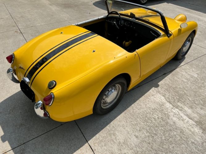 Unknown-Sprite-1959-Yellow-Black-1