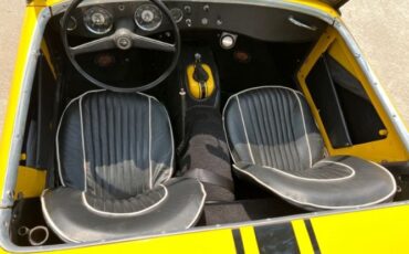 Unknown-Sprite-1959-Yellow-Black-12