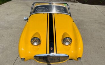 Unknown-Sprite-1959-Yellow-Black-16