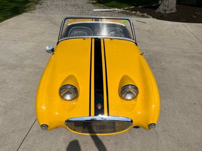 Unknown-Sprite-1959-Yellow-Black-16