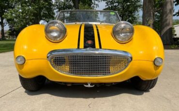 Unknown-Sprite-1959-Yellow-Black-17