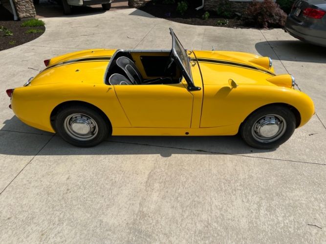Unknown-Sprite-1959-Yellow-Black-19
