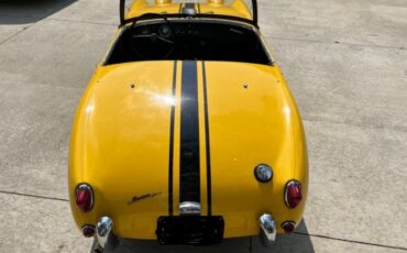 Unknown-Sprite-1959-Yellow-Black-2