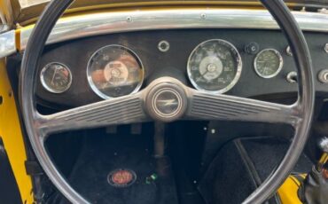 Unknown-Sprite-1959-Yellow-Black-21
