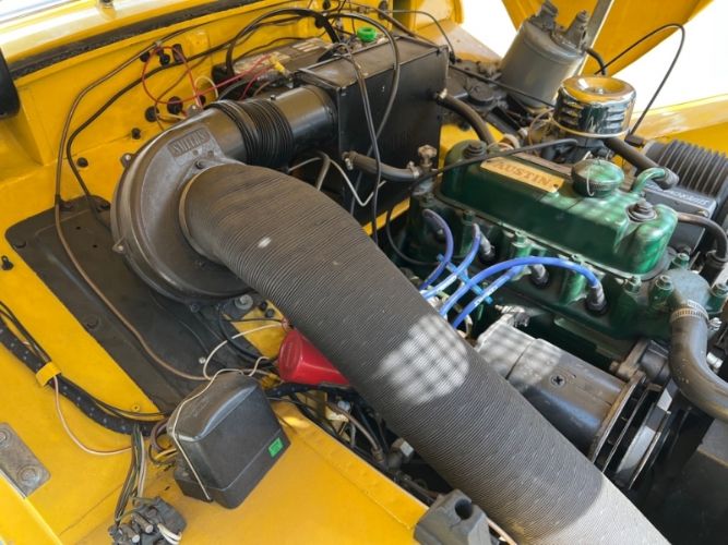 Unknown-Sprite-1959-Yellow-Black-5
