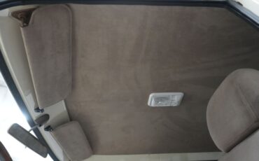 Unknown-Suburban-1969-Cream-and-Copper-Beige-34