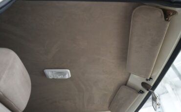 Unknown-Suburban-1969-Cream-and-Copper-Beige-47