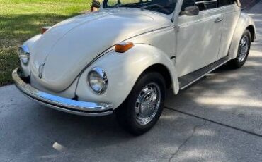 Unknown-Super-beetle-1971-10
