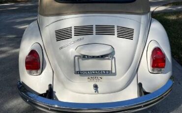 Unknown-Super-beetle-1971-11