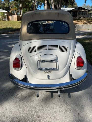 Unknown-Super-beetle-1971-11