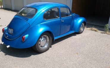 Unknown-Super-beetle-1971-2