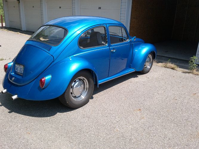 Unknown-Super-beetle-1971-2