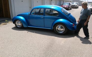 Unknown-Super-beetle-1971-3