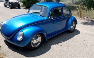 Unknown-Super-beetle-1971
