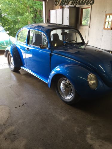 Unknown-Super-beetle-1971-4