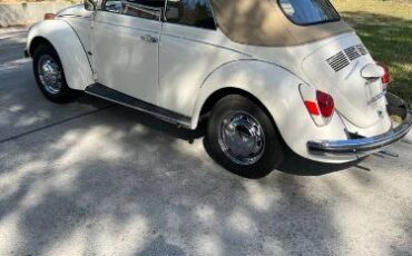 Unknown-Super-beetle-1971-8