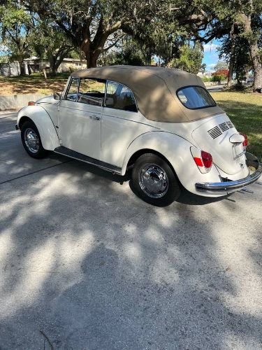 Unknown-Super-beetle-1971-8