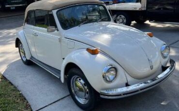 Unknown-Super-beetle-1971