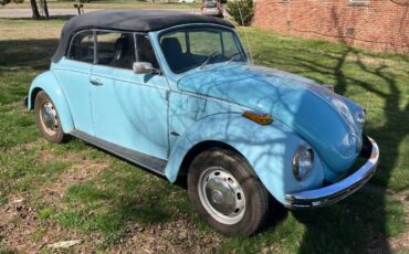 Unknown-Super-beetle-1971-Blue-15